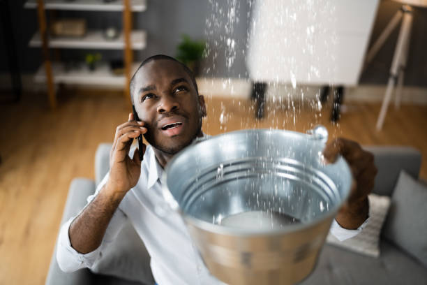 Trusted Drew, MS Water damage restoration Experts