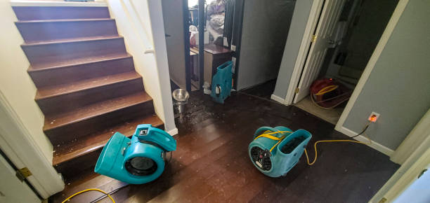 Best Carpet water damage restoration  in Drew, MS