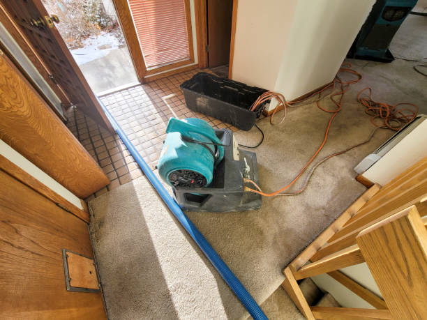 Best Residential water damage restoration  in Drew, MS