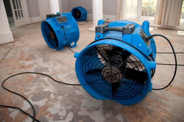 Best Fire Damage Restoration  in Drew, MS