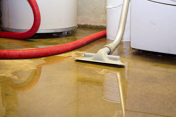 Best Flood restoration services  in Drew, MS