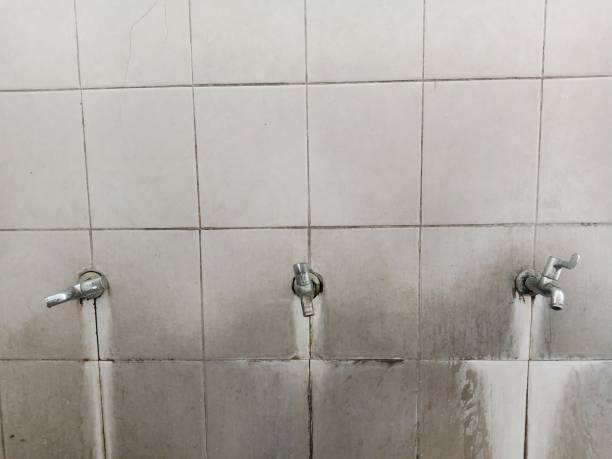 Best Ceiling water damage repair  in Drew, MS