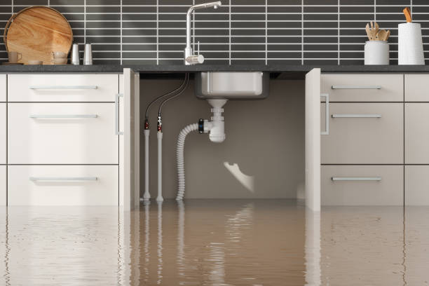 Best Fire Damage Restoration  in Drew, MS