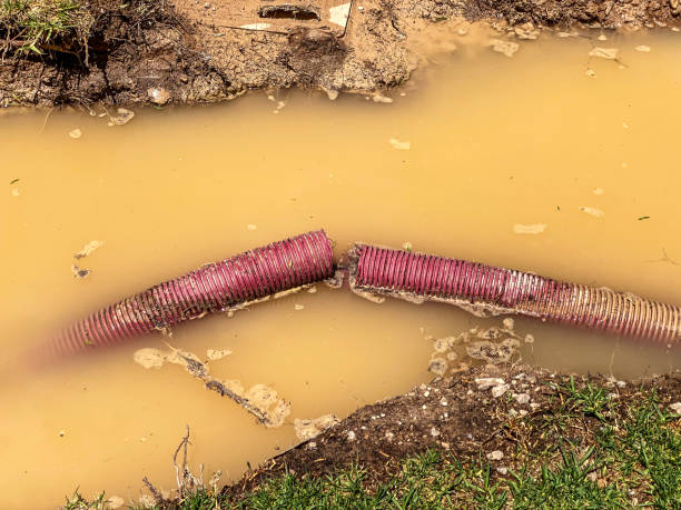 Best Water damage restoration specialists  in Drew, MS